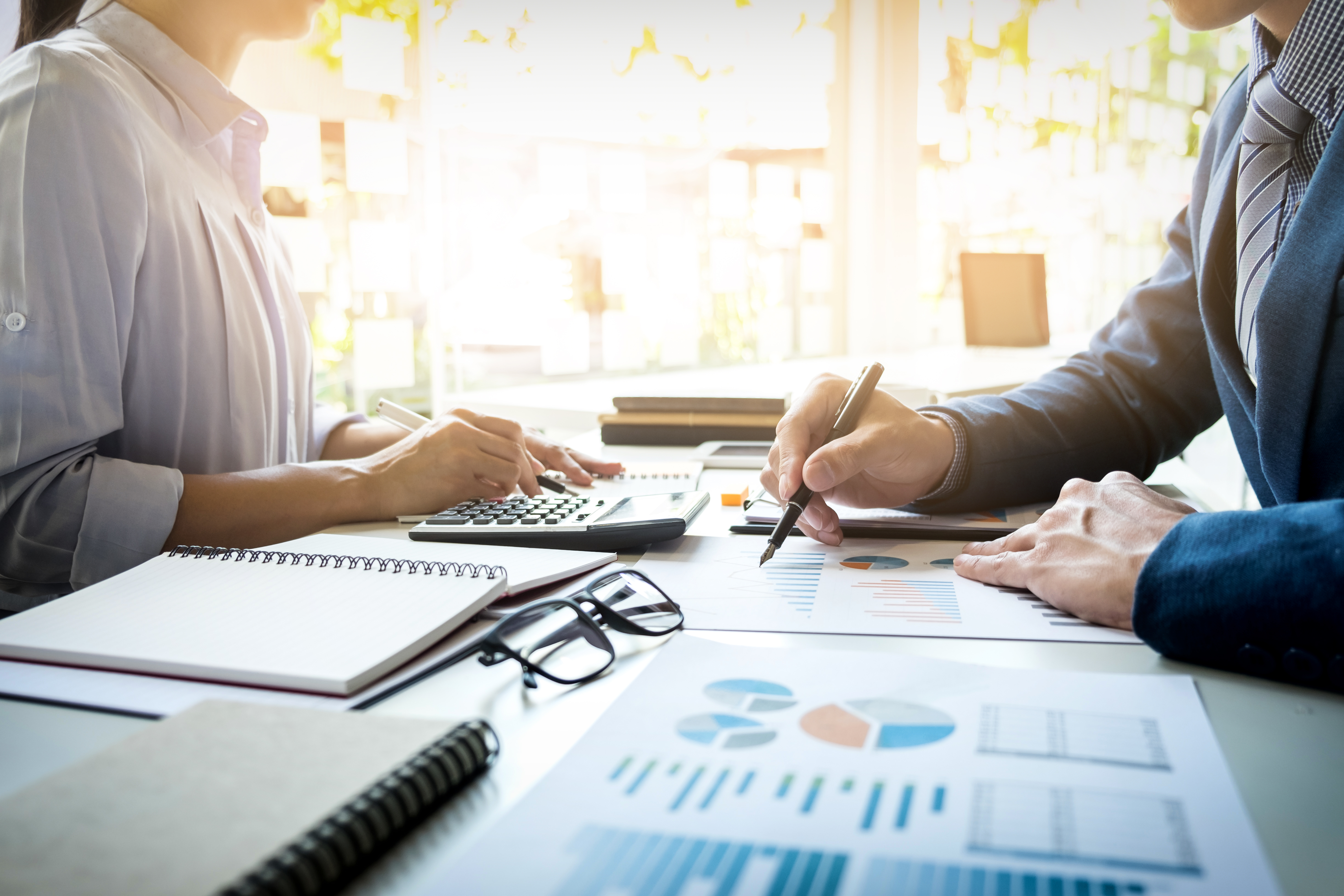 Tax Agent Services in Westlake